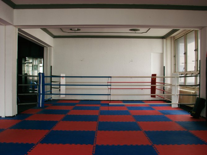 Ring v tělocvičně